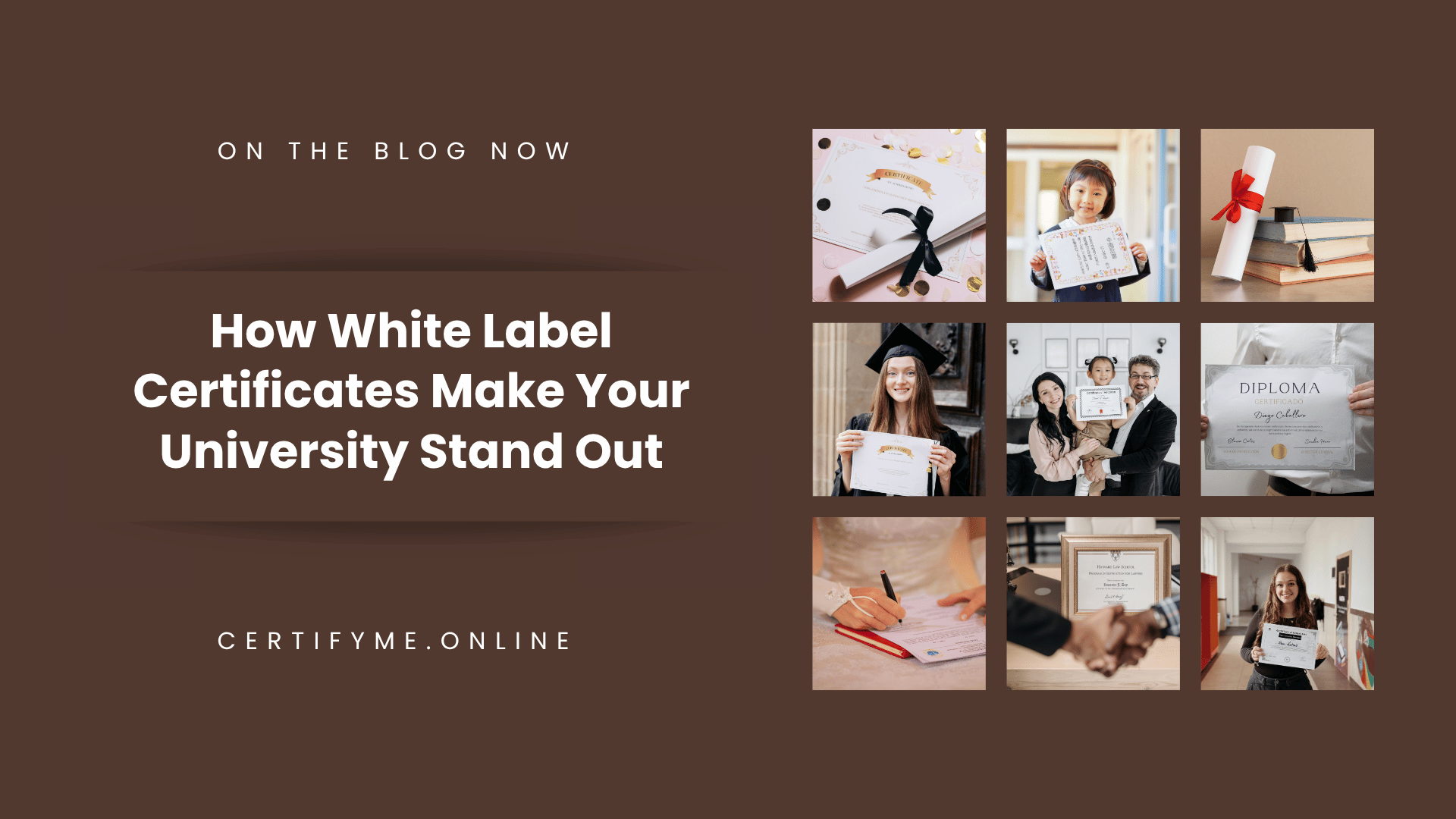 How White Label Certificates Make Your University Stand Out
